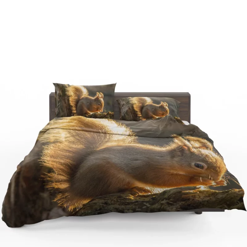 Squirrel Sunny Rodent Adventure Bedding Set