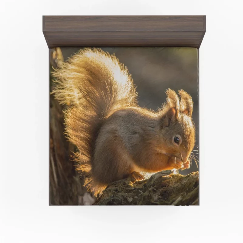 Squirrel Sunny Rodent Adventure Fitted Sheet 1