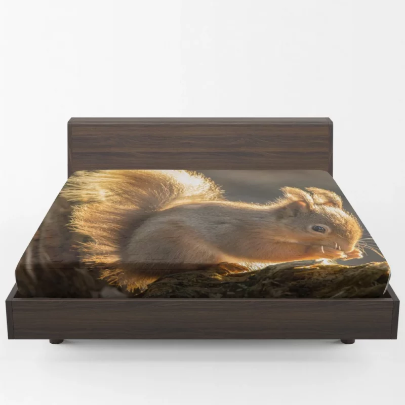 Squirrel Sunny Rodent Adventure Fitted Sheet