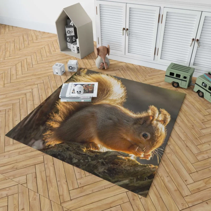 Squirrel Sunny Rodent Adventure Rug 1