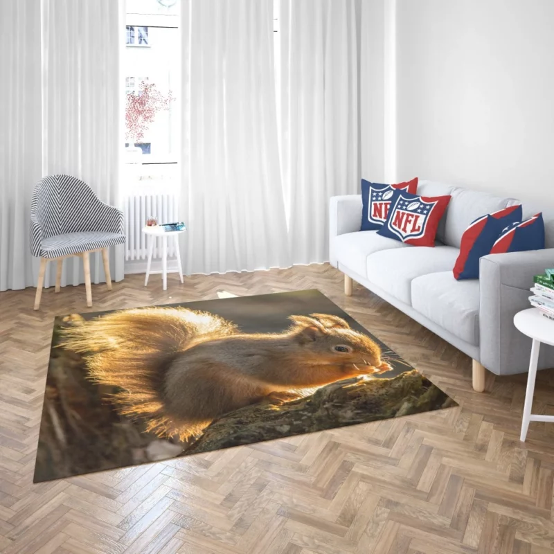 Squirrel Sunny Rodent Adventure Rug 2