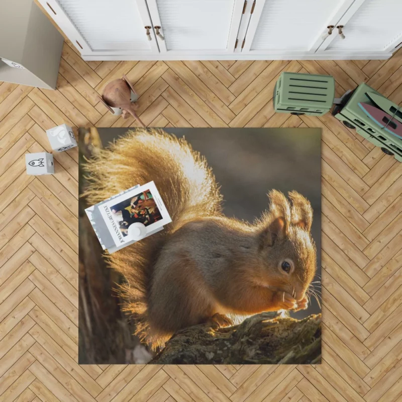 Squirrel Sunny Rodent Adventure Rug