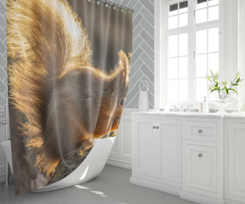 Squirrel Sunny Rodent Adventure Shower Curtain 1