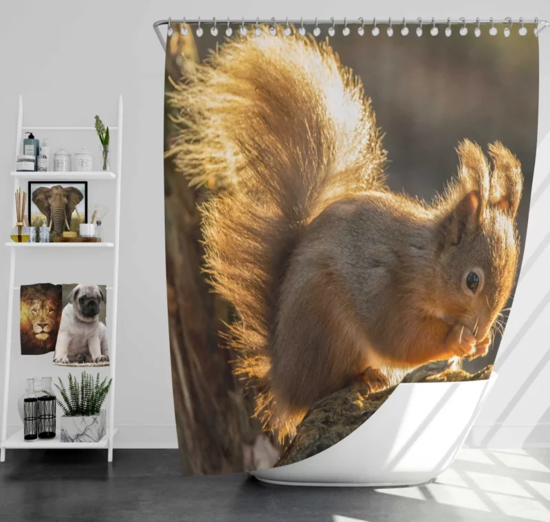 Squirrel Sunny Rodent Adventure Shower Curtain