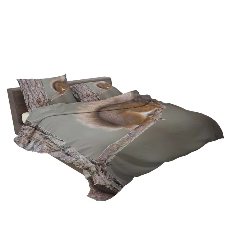 Squirrel Whiskers Curious Charm Bedding Set 2