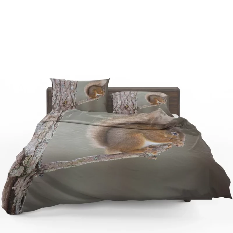 Squirrel Whiskers Curious Charm Bedding Set