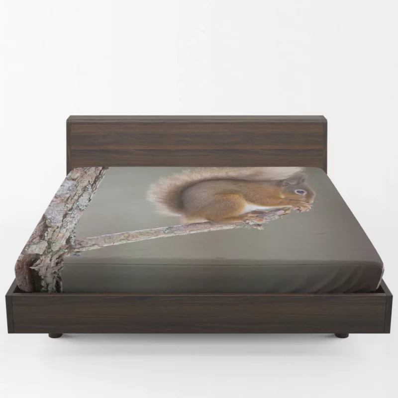 Squirrel Whiskers Curious Charm Fitted Sheet