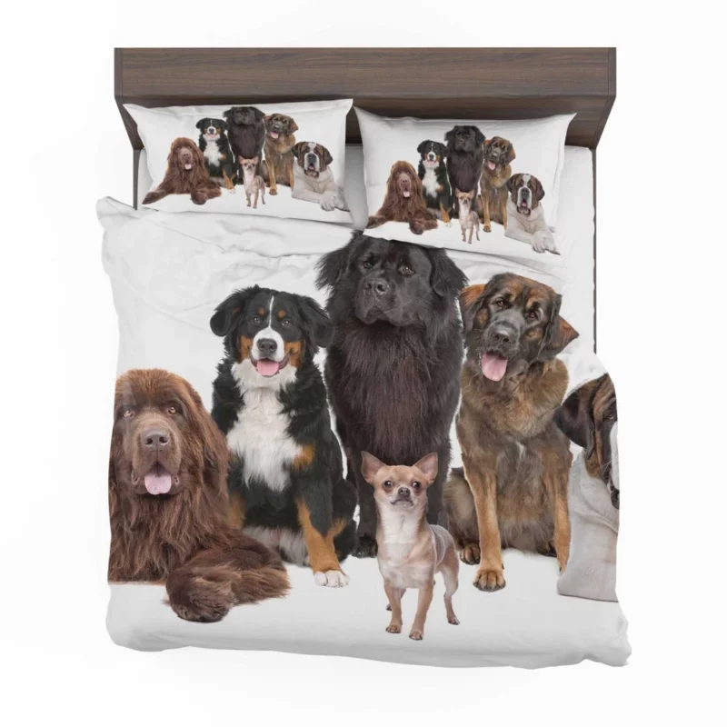 St Bernard Sennenhund & Chihuahua Bedding Set 1