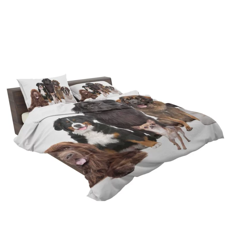 St Bernard Sennenhund & Chihuahua Bedding Set 2