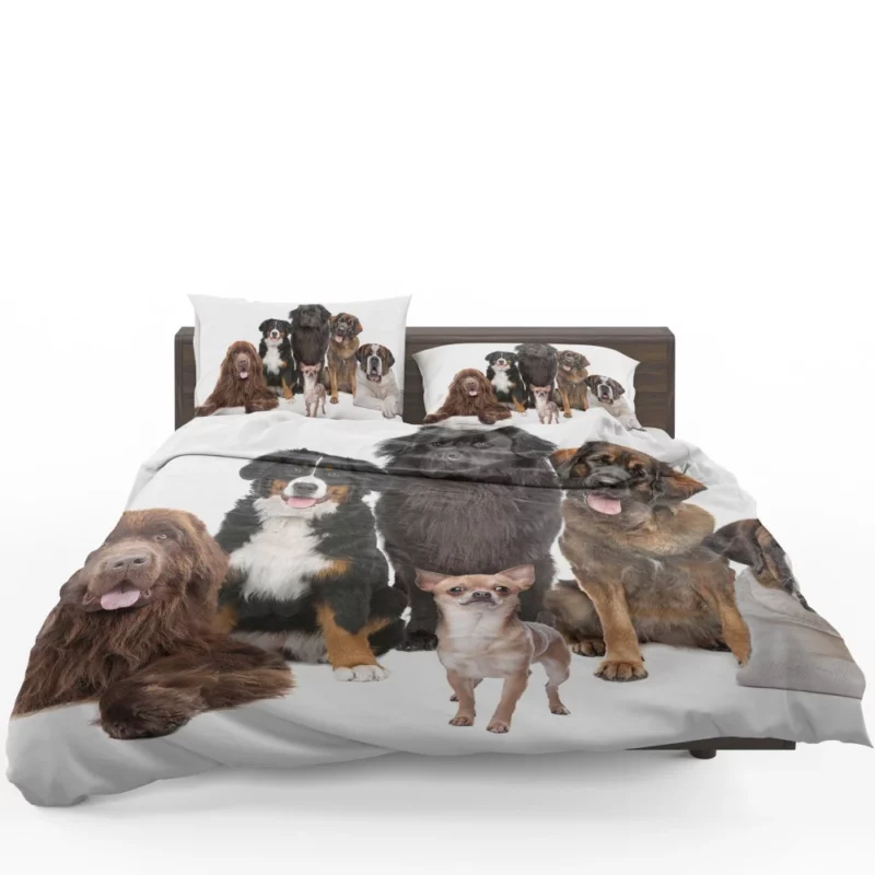 St Bernard Sennenhund & Chihuahua Bedding Set