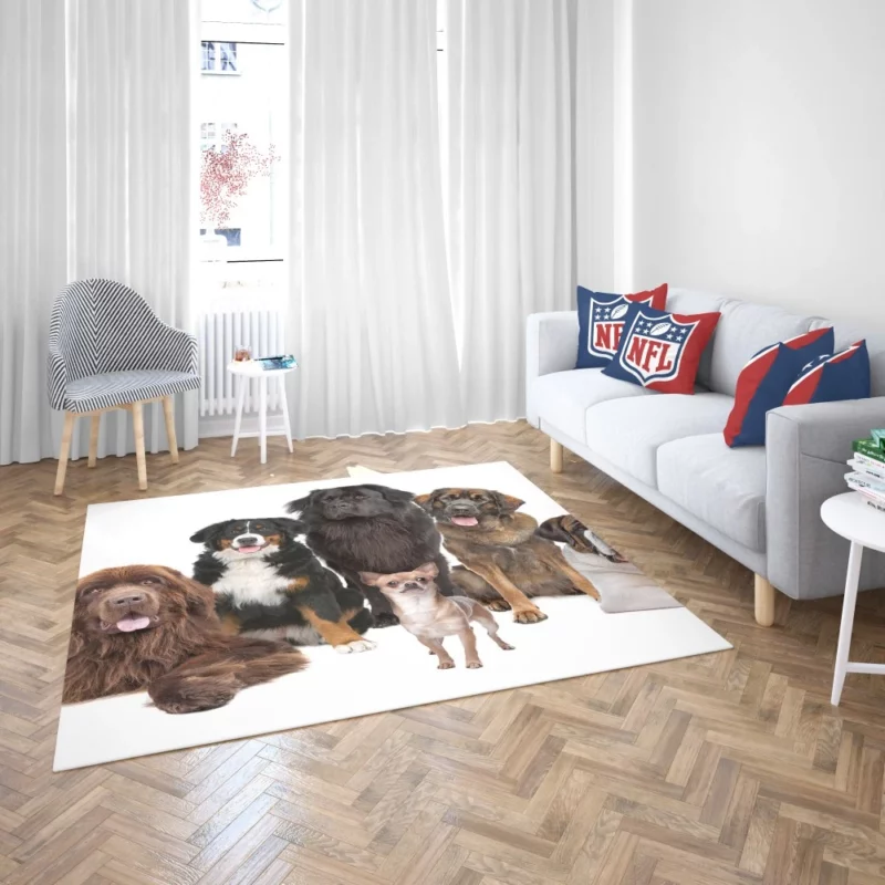 St Bernard Sennenhund & Chihuahua Rug 2