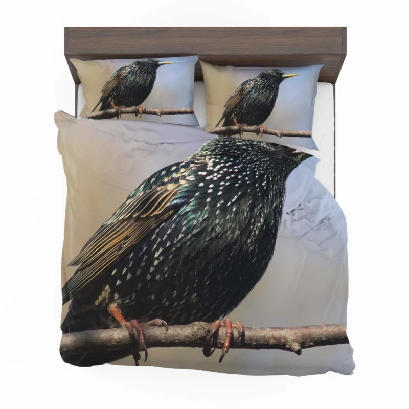 Starling Intricate Plumage Aerial Wonder Bedding Set 1