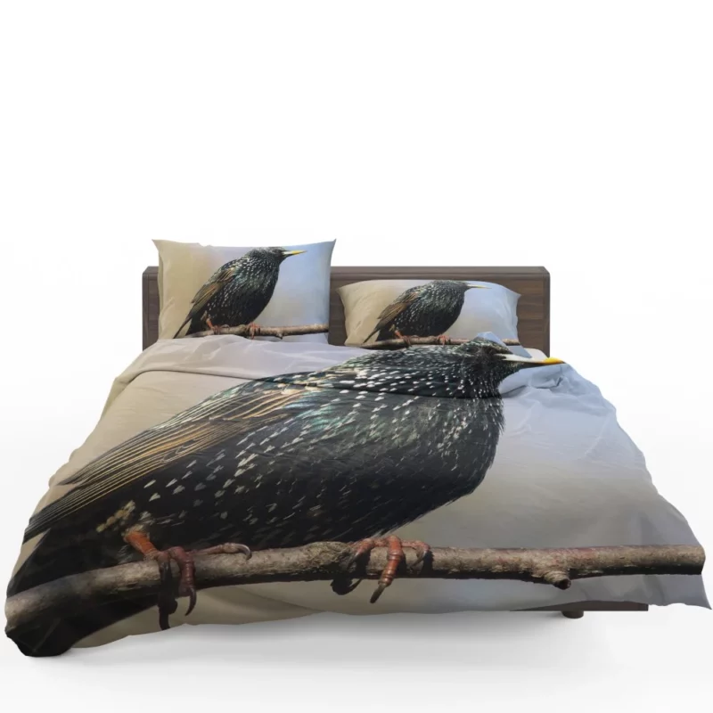 Starling Intricate Plumage Aerial Wonder Bedding Set