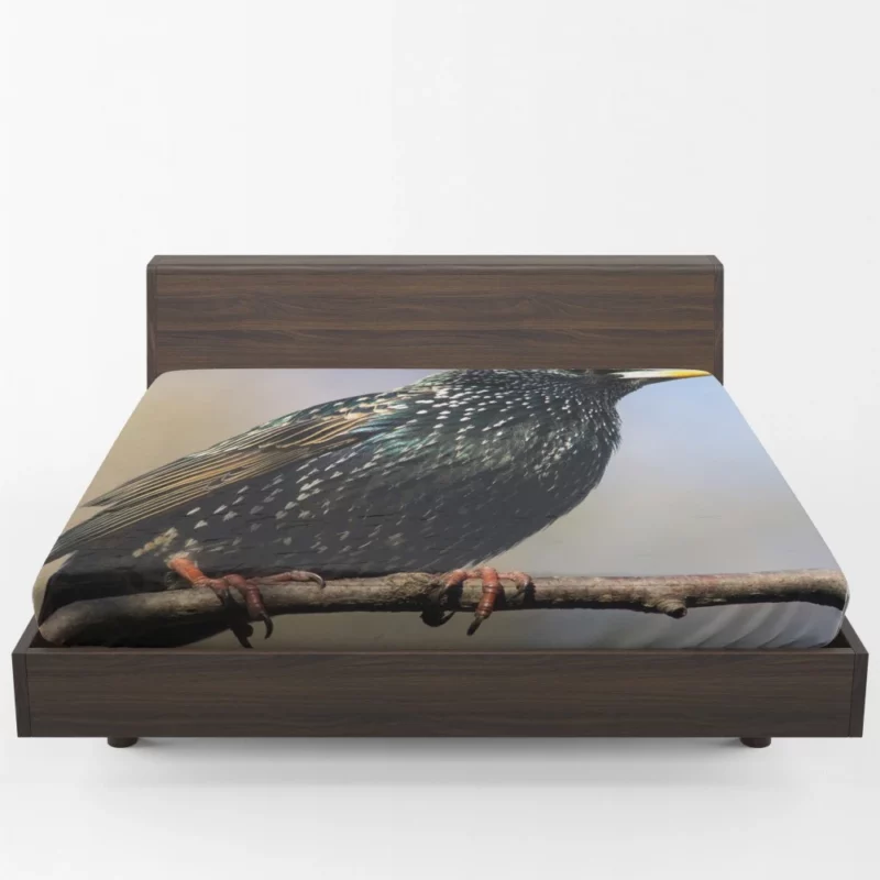 Starling Intricate Plumage Aerial Wonder Fitted Sheet