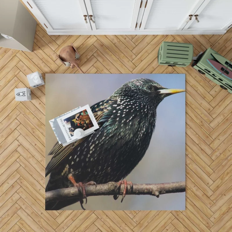 Starling Intricate Plumage Aerial Wonder Rug