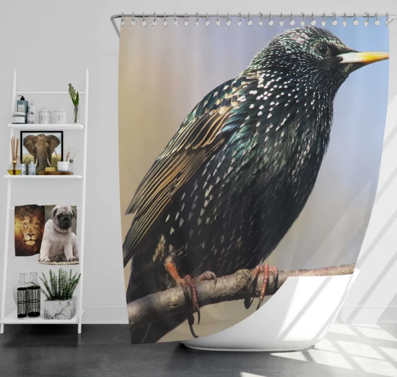 Starling Intricate Plumage Aerial Wonder Shower Curtain