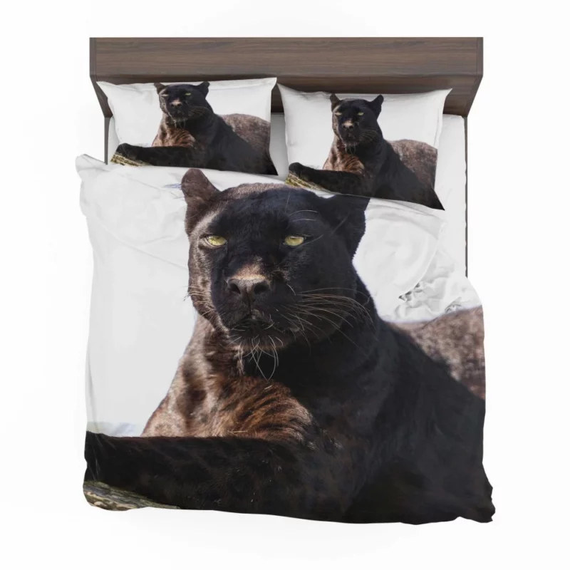 Stealthy Elegance Black Panther Grace Bedding Set 1