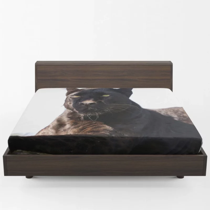 Stealthy Elegance Black Panther Grace Fitted Sheet