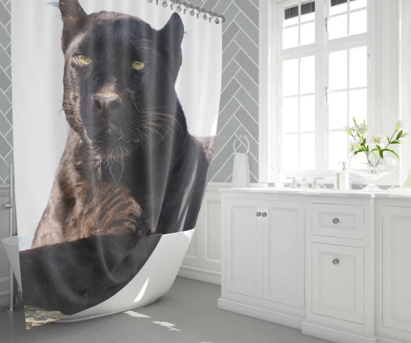 Stealthy Elegance Black Panther Grace Shower Curtain 1