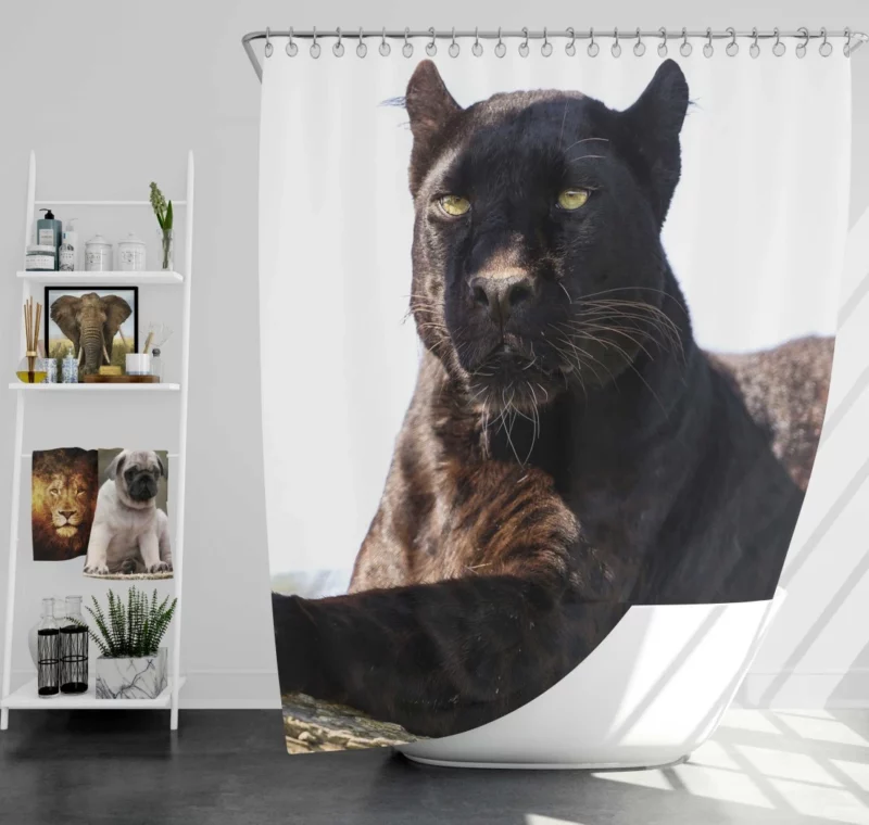 Stealthy Elegance Black Panther Grace Shower Curtain