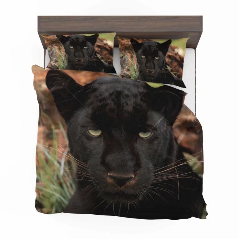 Stealthy Majesty Black Panther Aura Bedding Set 1