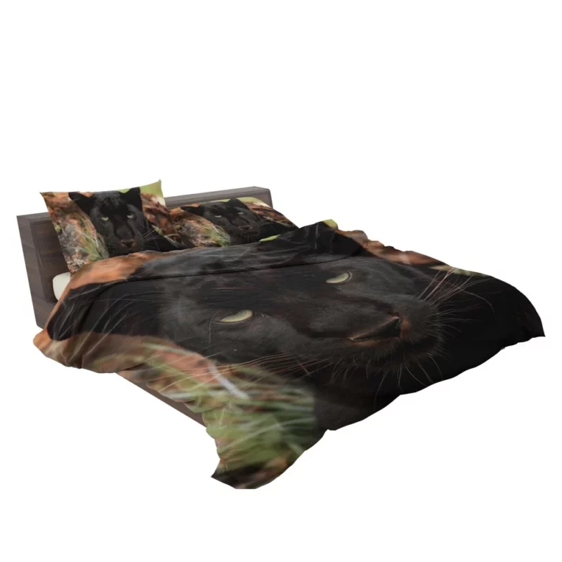 Stealthy Majesty Black Panther Aura Bedding Set 2