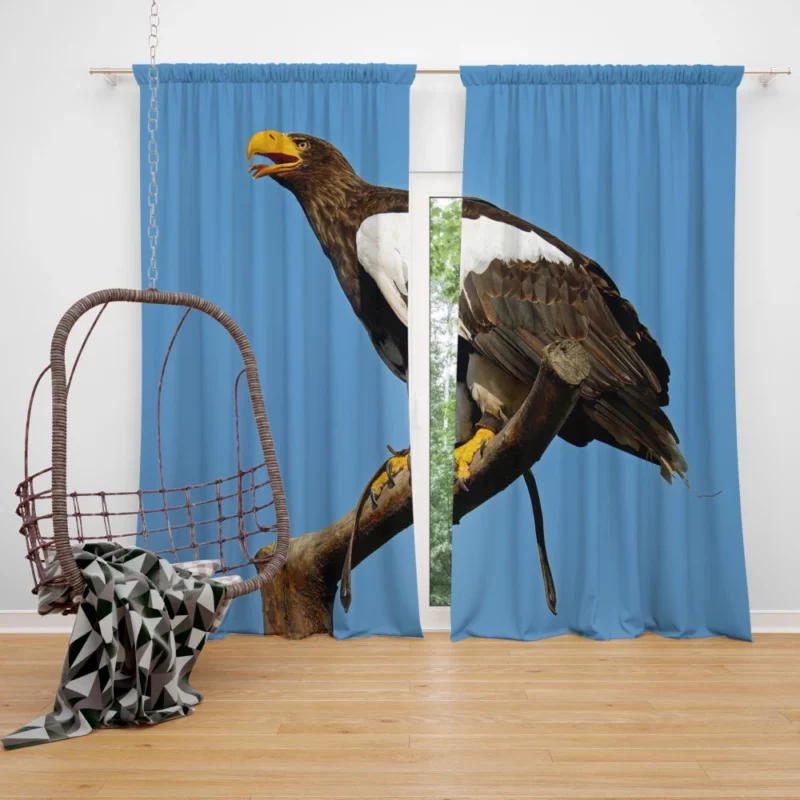 Steller Sea Eagle Arctic Perch Majestic Bird Curtain