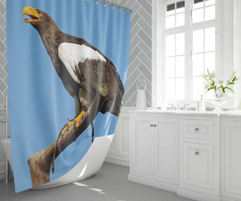 Steller Sea Eagle Arctic Perch Majestic Bird Shower Curtain 1