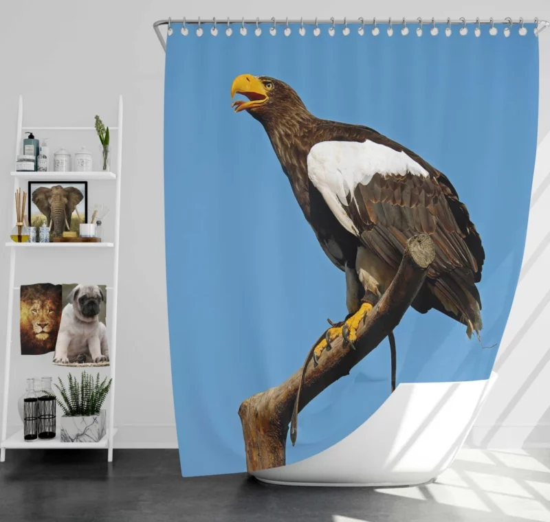 Steller Sea Eagle Arctic Perch Majestic Bird Shower Curtain