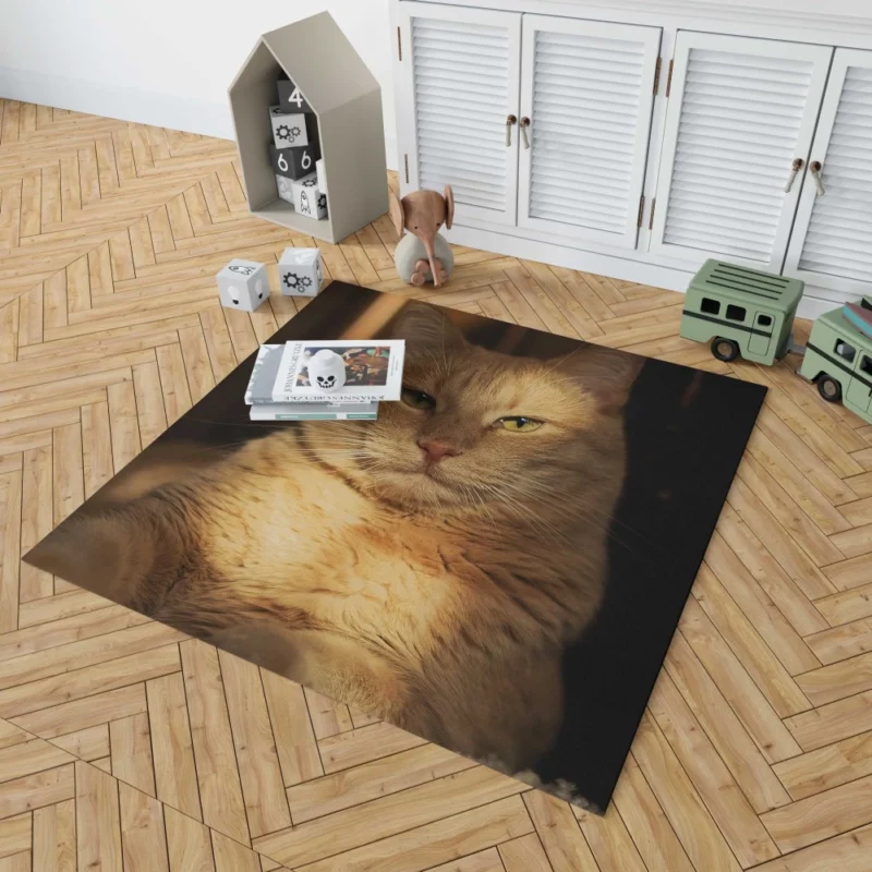 Striking Cat Stare Rug 1