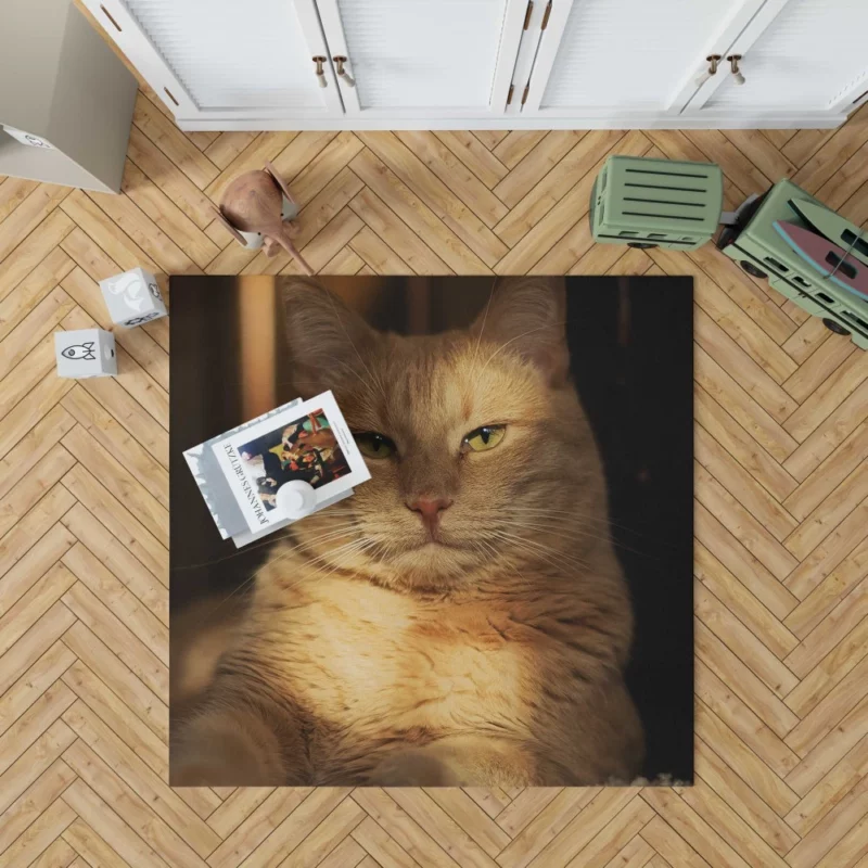 Striking Cat Stare Rug