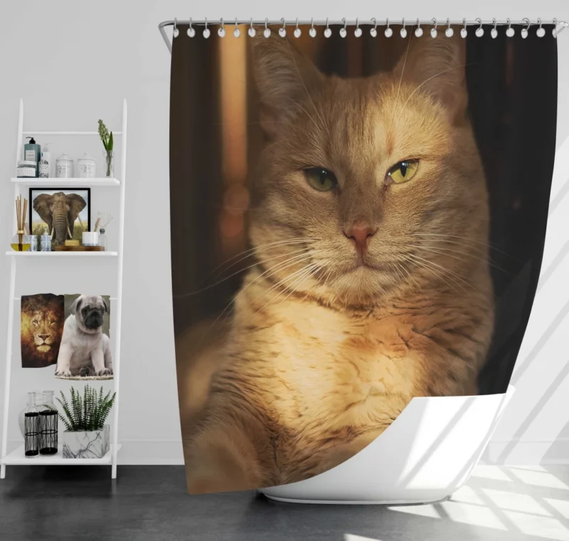 Striking Cat Stare Shower Curtain