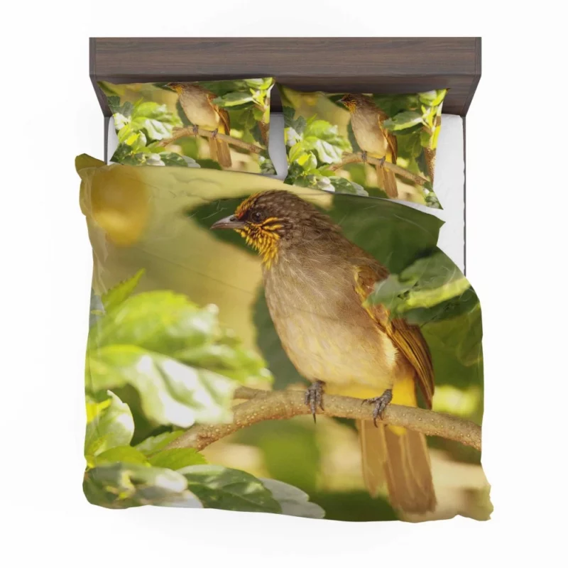 Stripe-Throated Bulbul Branch Harmony Bedding Set 1