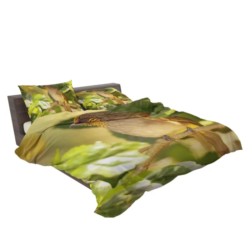 Stripe-Throated Bulbul Branch Harmony Bedding Set 2