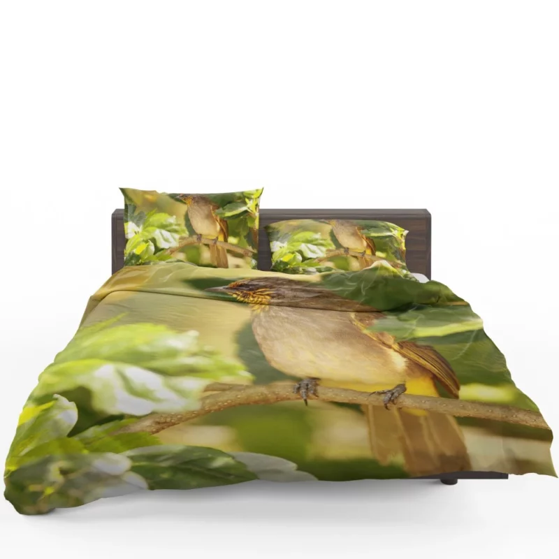 Stripe-Throated Bulbul Branch Harmony Bedding Set