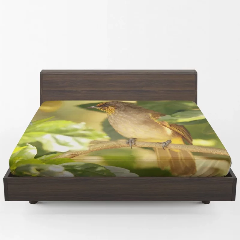 Stripe-Throated Bulbul Branch Harmony Fitted Sheet