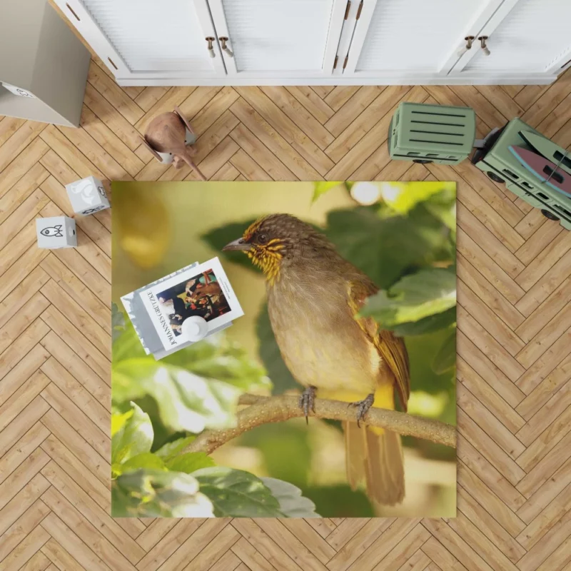 Stripe-Throated Bulbul Branch Harmony Rug