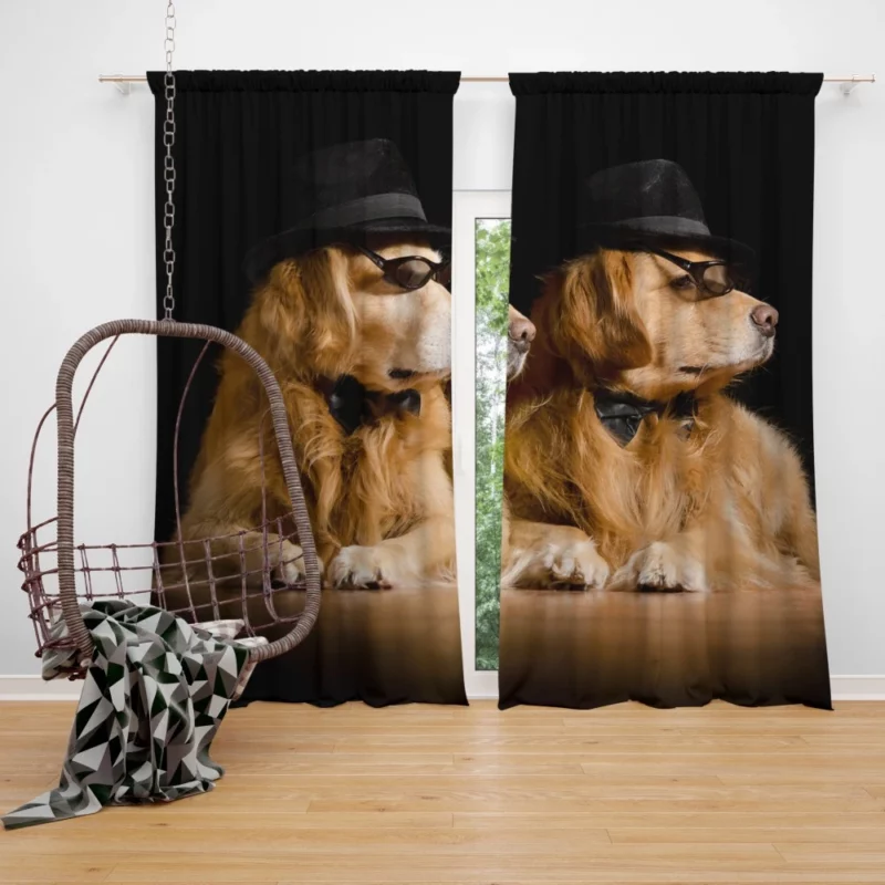 Stylish Retriever Humor Curtain