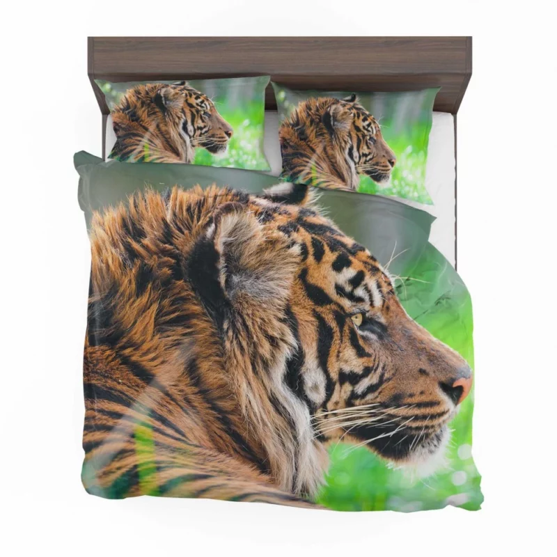 Sumatran Tiger Beauty of the Wild Bedding Set 1