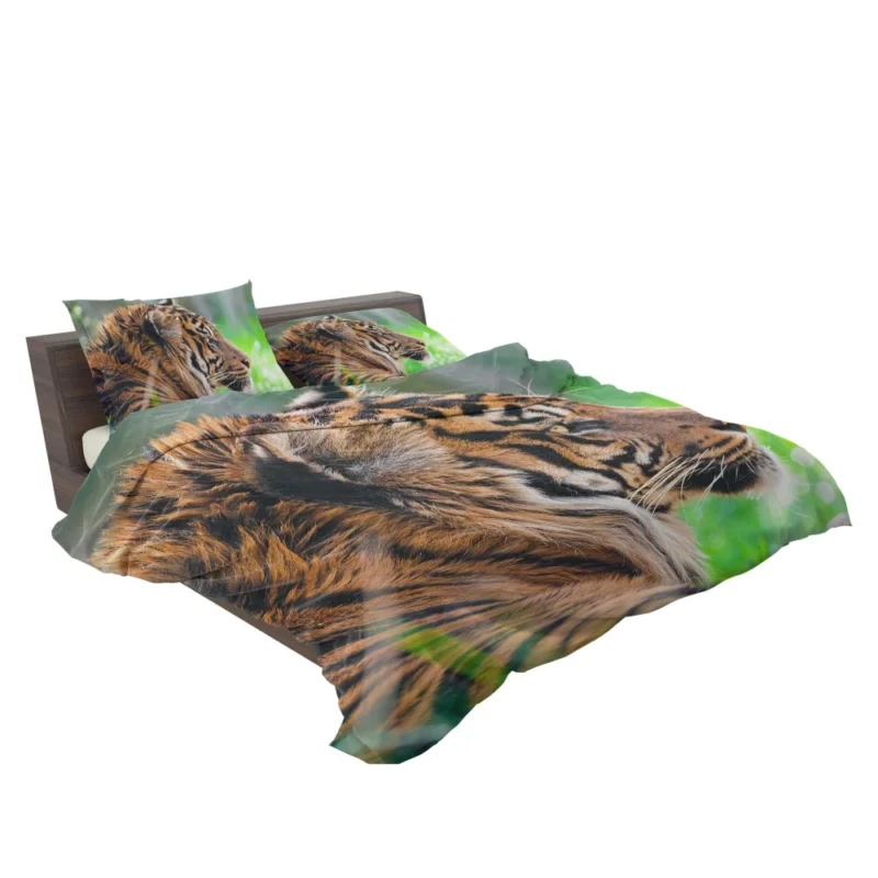 Sumatran Tiger Beauty of the Wild Bedding Set 2