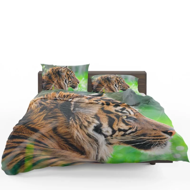 Sumatran Tiger Beauty of the Wild Bedding Set