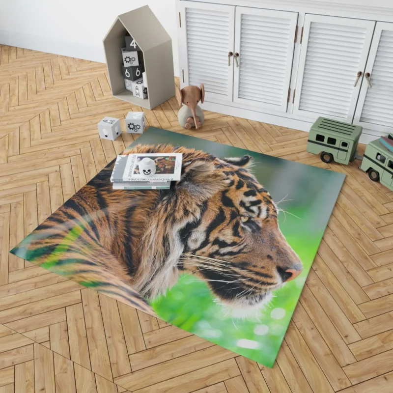 Sumatran Tiger Beauty of the Wild Rug 1