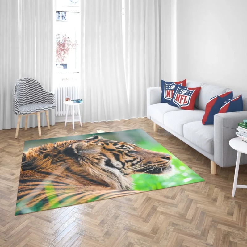 Sumatran Tiger Beauty of the Wild Rug 2