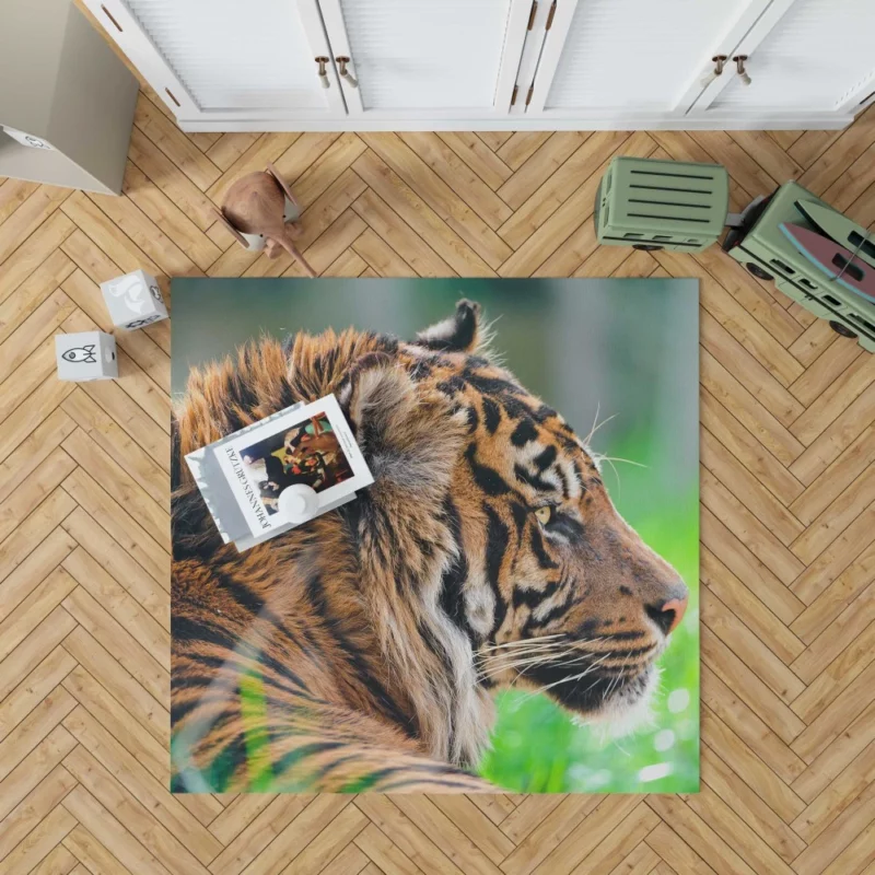 Sumatran Tiger Beauty of the Wild Rug