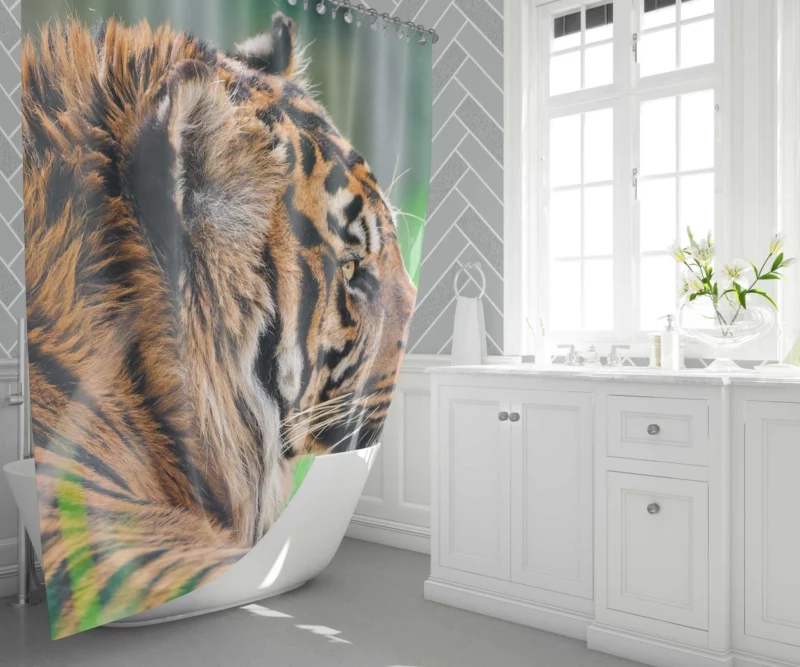 Sumatran Tiger Beauty of the Wild Shower Curtain 1