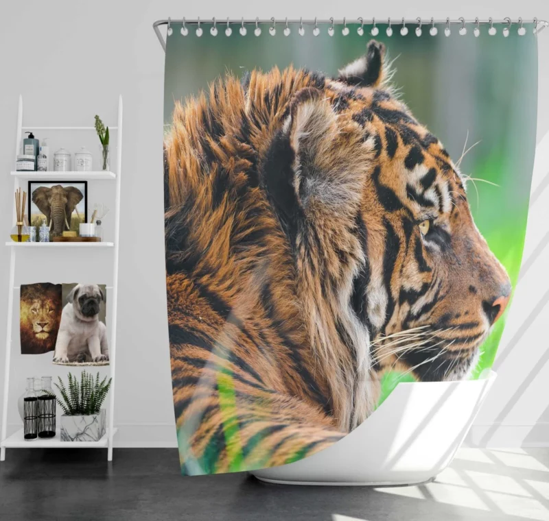 Sumatran Tiger Beauty of the Wild Shower Curtain