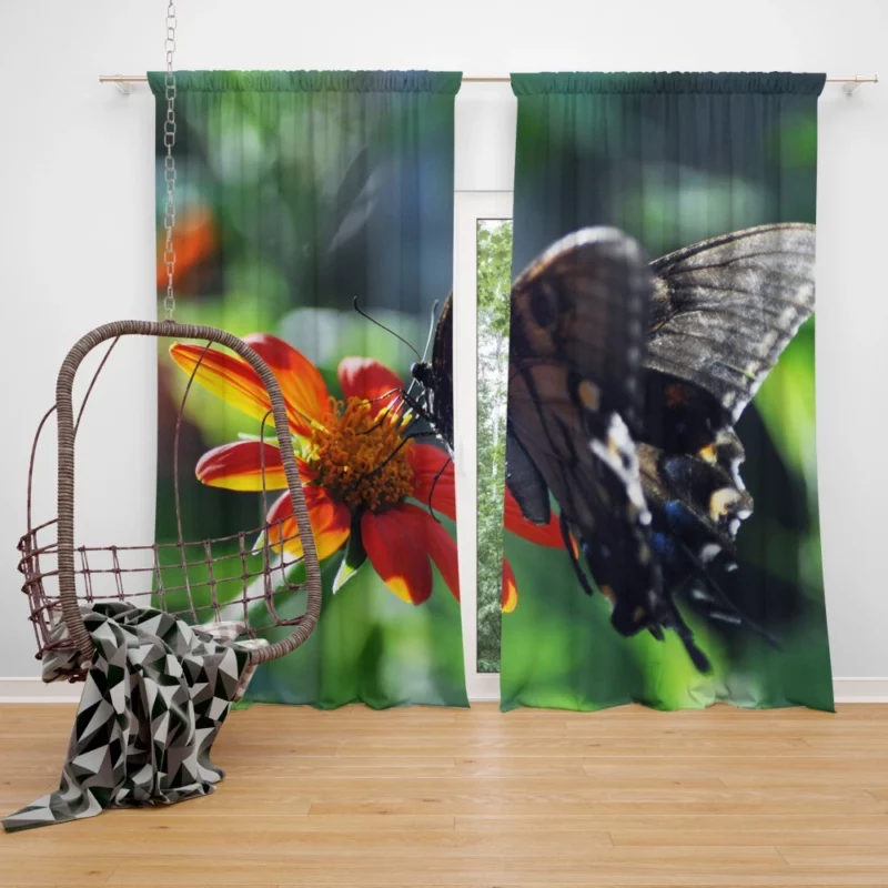 Summer Sip Butterfly and Flower Curtain