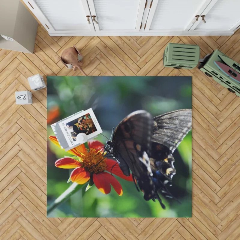 Summer Sip Butterfly and Flower Rug