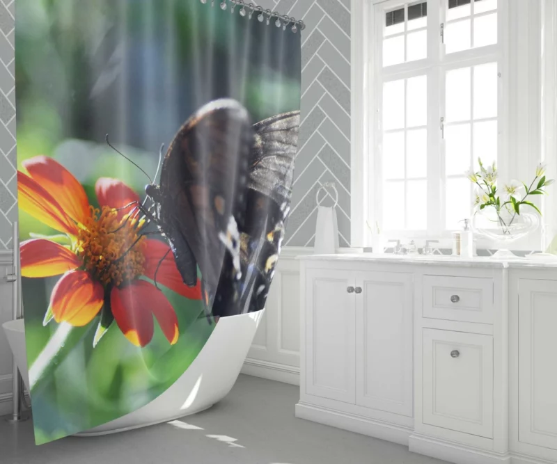 Summer Sip Butterfly and Flower Shower Curtain 1