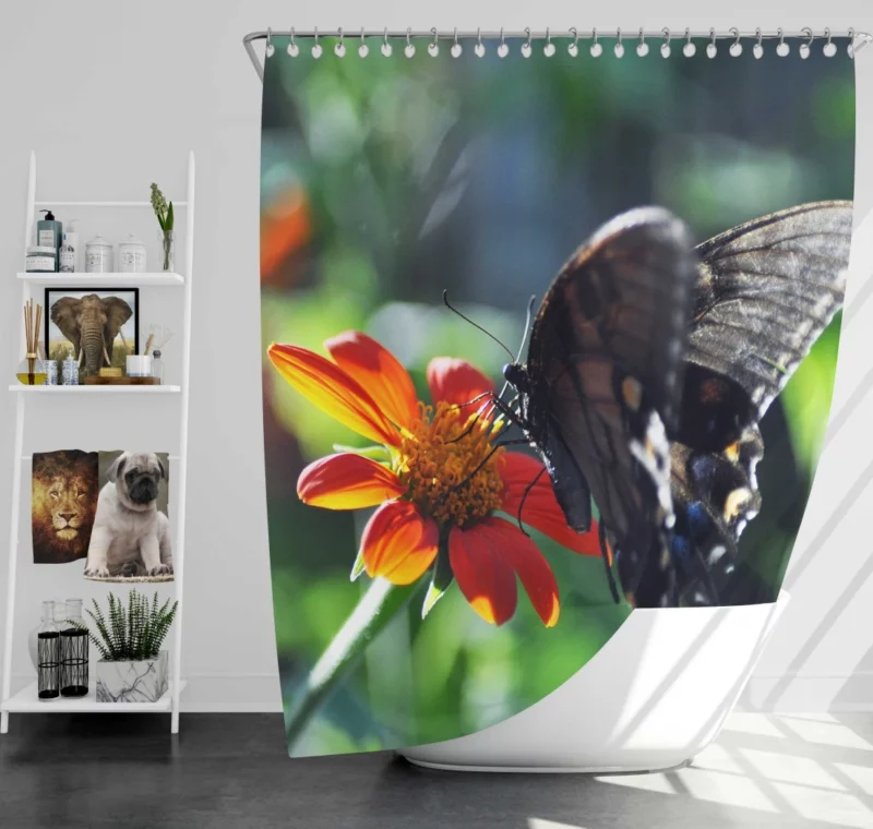 Summer Sip Butterfly and Flower Shower Curtain